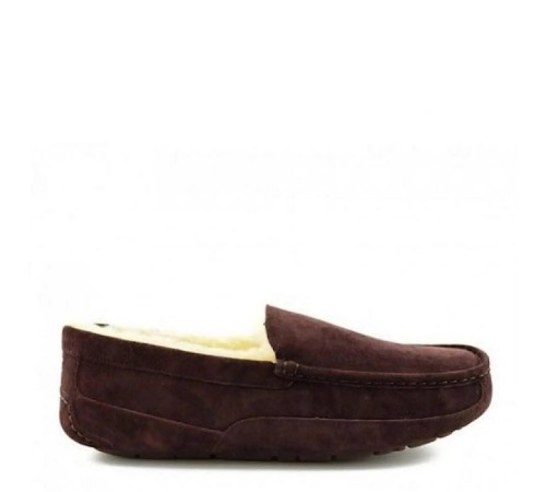 Купить UGG Mens Ascot Chocolate