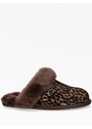 UGG Slippers Caspian