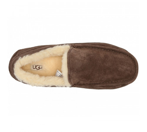 Купить UGG Mens Ascot Chocolate