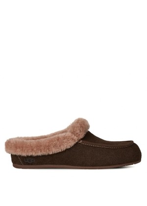 UGG Ansley Mule Chocolate