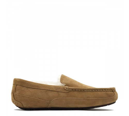 Купить UGG Mens Ascot Chestnut