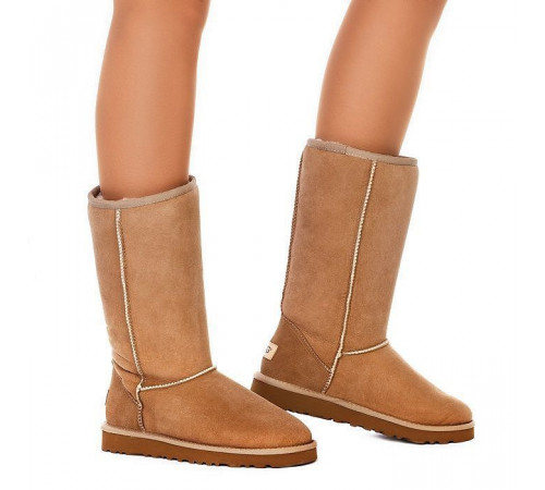 Купить UGG Classic Tall Chestnut