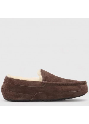 UGG Mens Ascot Chocolate