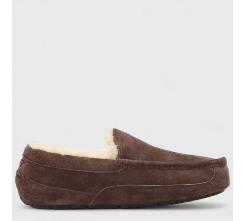 Купить UGG Mens Ascot Chocolate