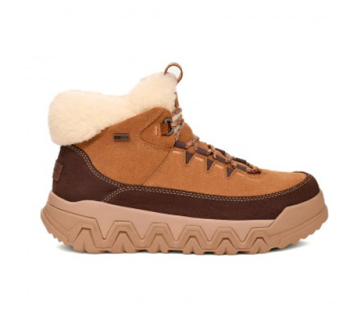 Купить UGG TerreTrail Cozy Lace Boot Chestnut