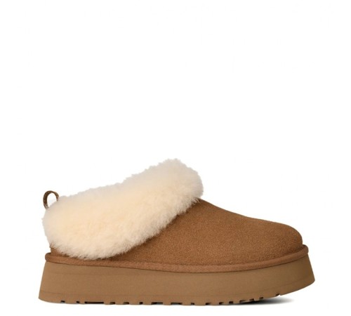 Купить UGG Tazzelle Chestnut