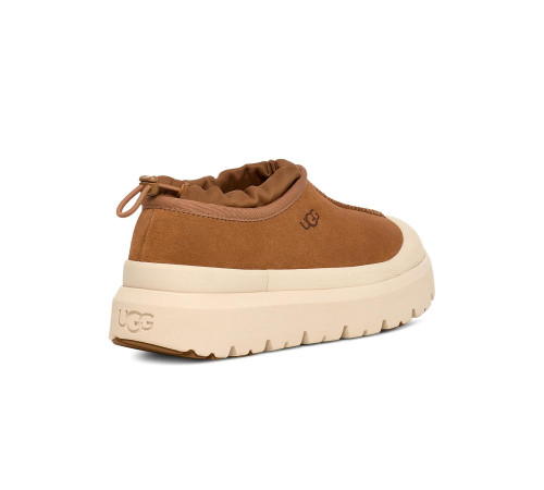 Купить UGG Tasman Hybrid Chestnut Whitecap