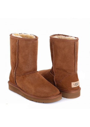 UGG Mens  Classic Short II Chestnut