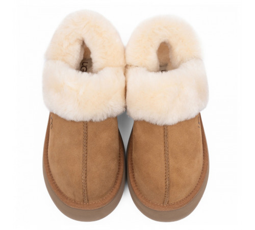 Купить Ugg Slippers Disquette Chestnut Купить Ugg Slippers Disquette Chestnut