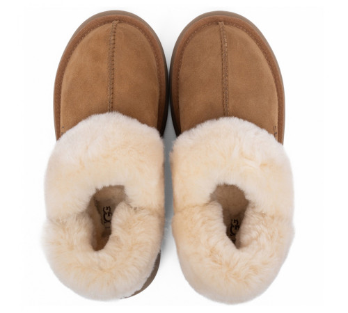 Купить Ugg Slippers Disquette Chestnut